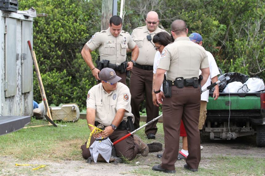 Miccosukee policie a aligator wrestling